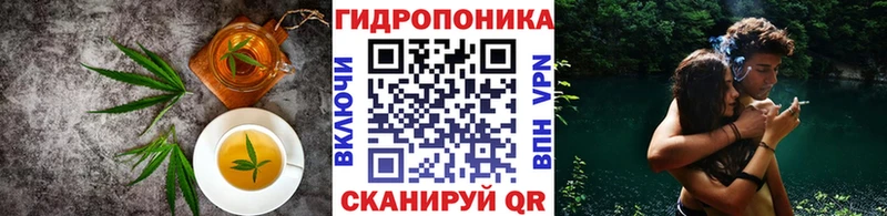 Купить закладки  Кемь  Еда ТГК марихуана 