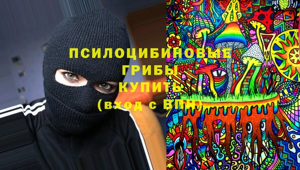 крисы Ельня