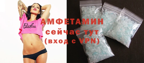 крисы Ельня