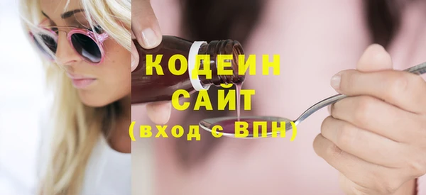крисы Ельня