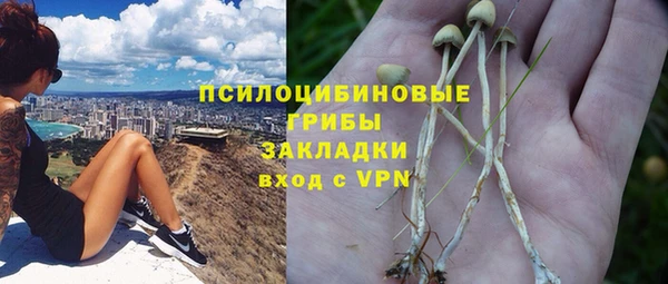 ешки Дмитров
