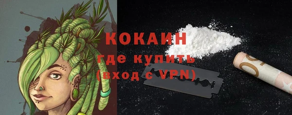 крисы Ельня