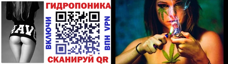 Каннабис план  Купить закладки  Кемь 